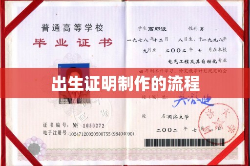 禄丰出生证明制作的流程
