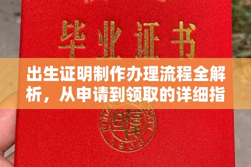 曲水出生证明制作办理流程全解析，从申请到领取的详细指南