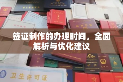 瑞安签证制作的办理时间，全面解析与优化建议